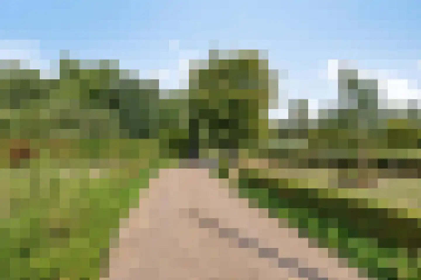 Boltsebroek 1 Escharen thumbnail 78