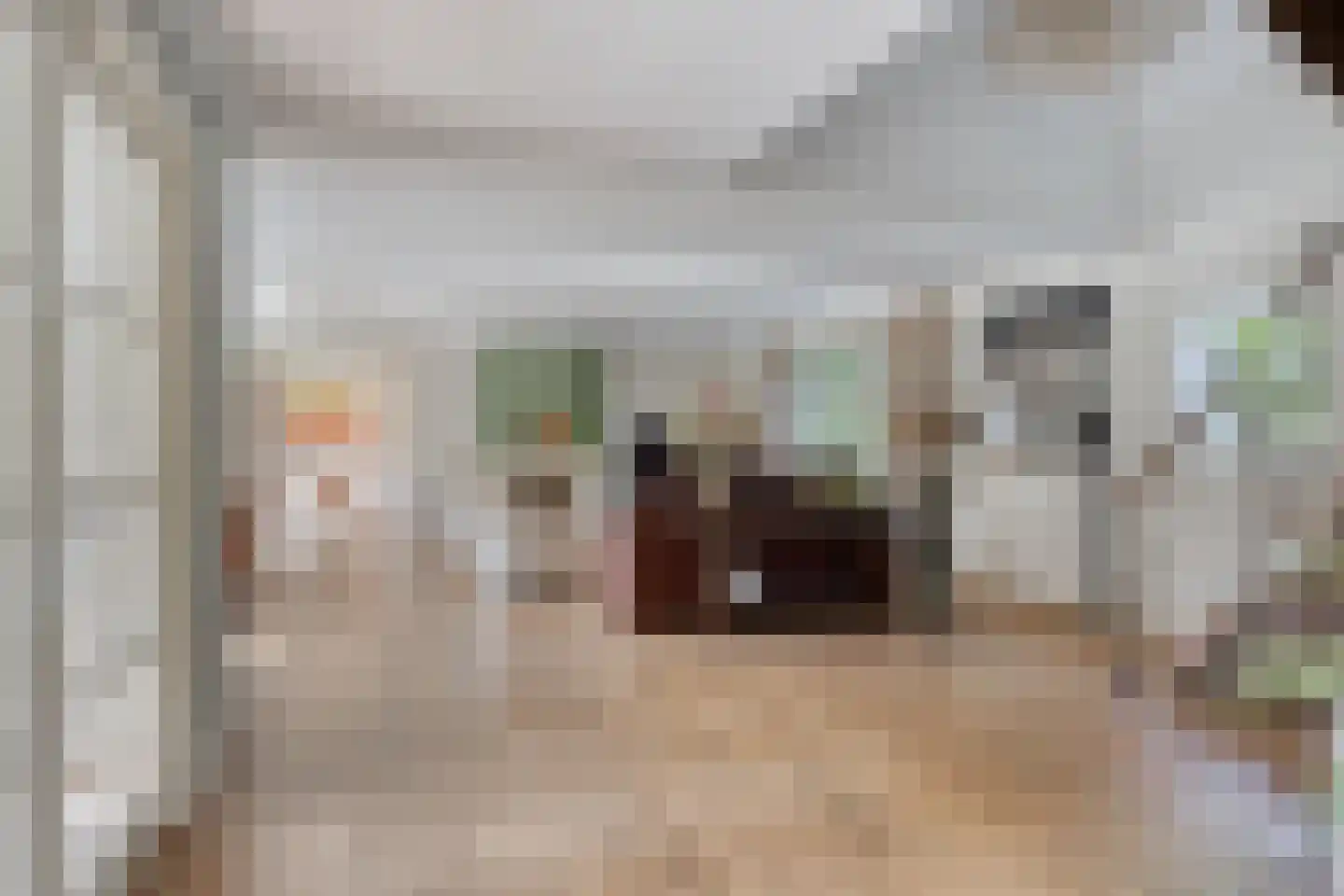 Boltsebroek 1 Escharen thumbnail 8