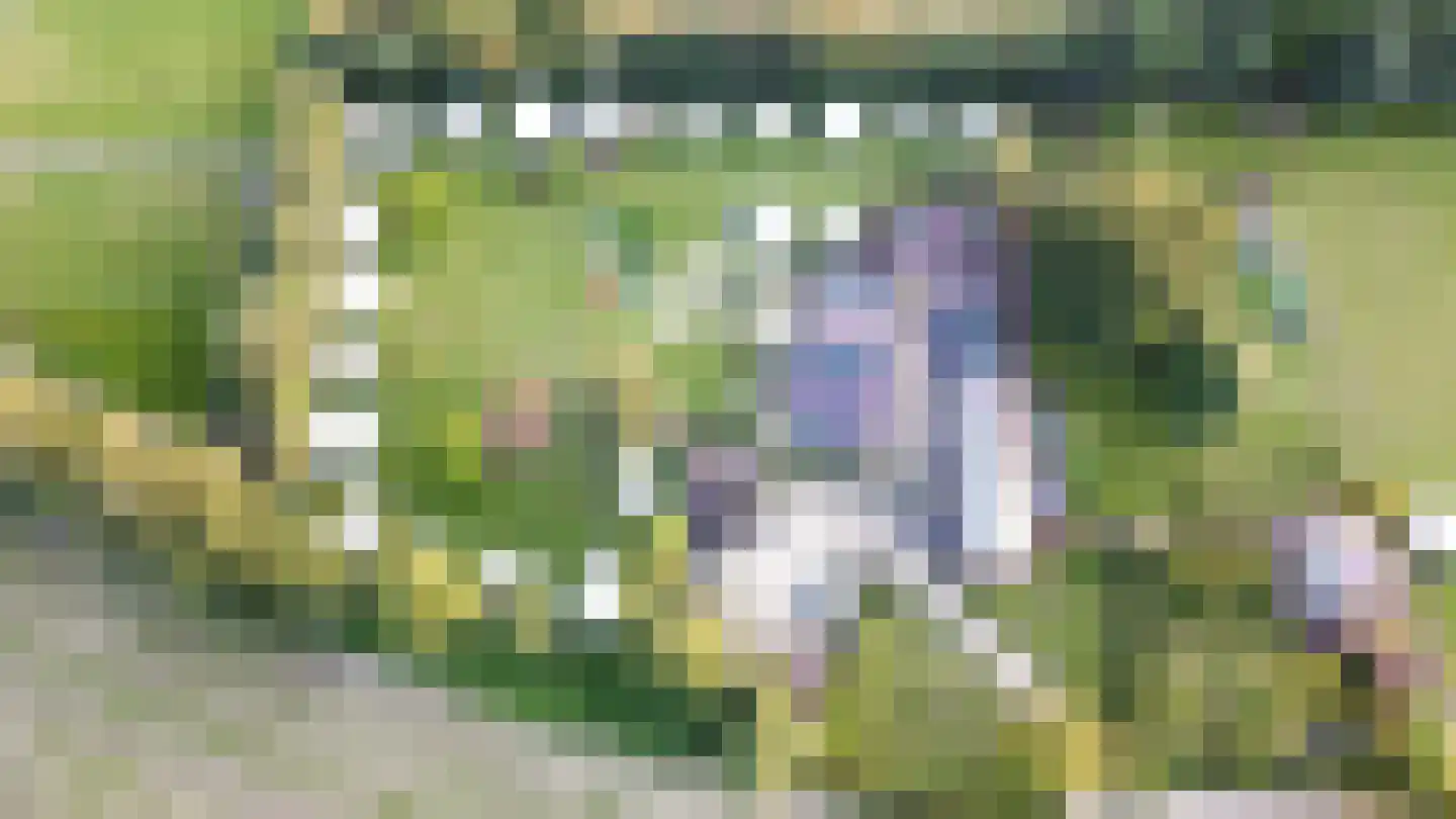 Boltsebroek 1 Escharen thumbnail 89