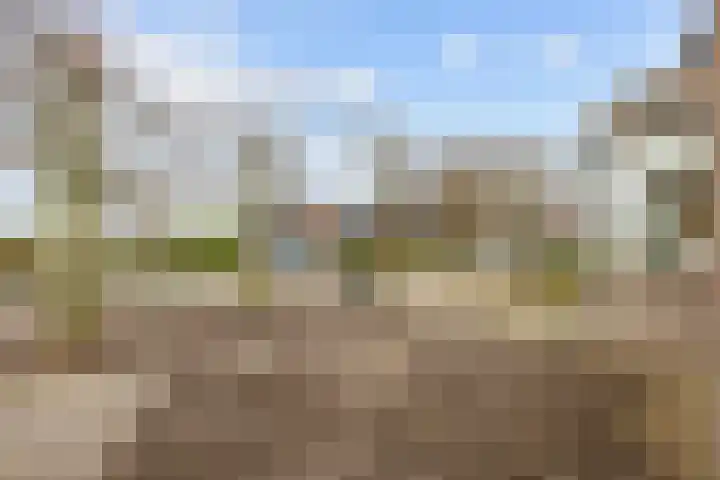 Boltweg 23 Ten Boer thumbnail 11
