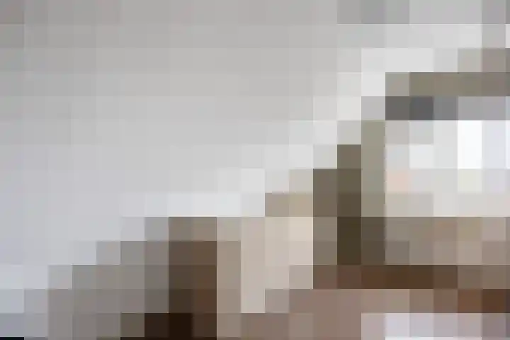 Boltweg 23 Ten Boer thumbnail 37