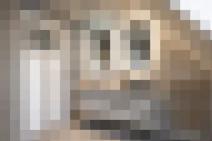 Boltweg 23 Ten Boer thumbnail 49
