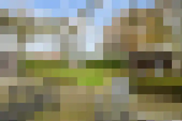 Boltweg 23 Ten Boer thumbnail 51