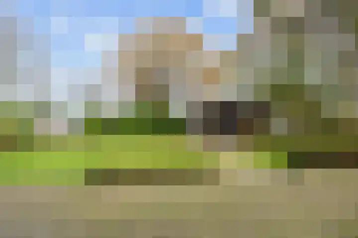 Boltweg 23 Ten Boer thumbnail 52