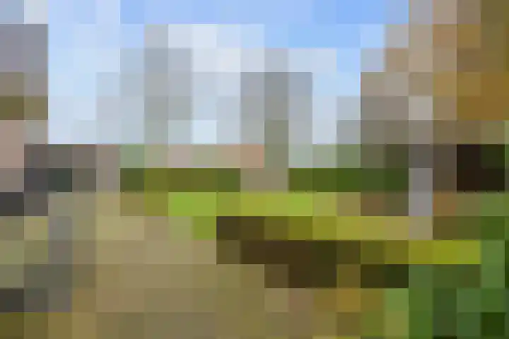 Boltweg 23 Ten Boer thumbnail 53