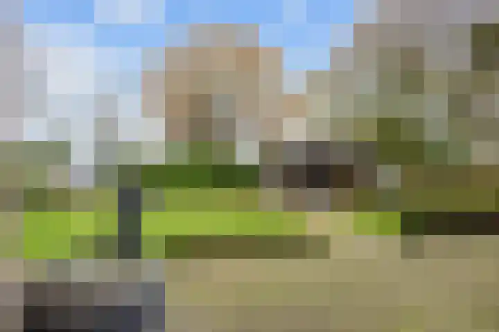 Boltweg 23 Ten Boer thumbnail 54