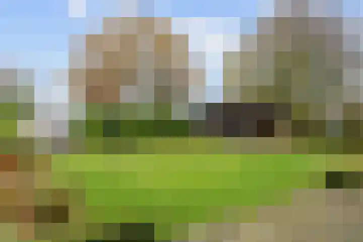 Boltweg 23 Ten Boer thumbnail 55