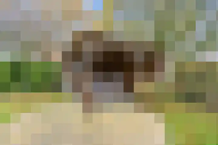 Boltweg 23 Ten Boer thumbnail 56