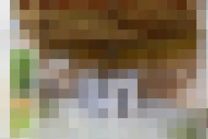 Boltweg 23 Ten Boer thumbnail 57