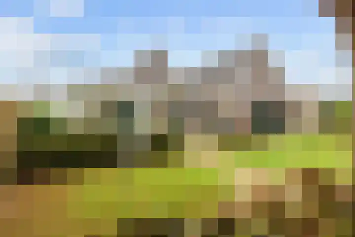 Boltweg 23 Ten Boer thumbnail 58