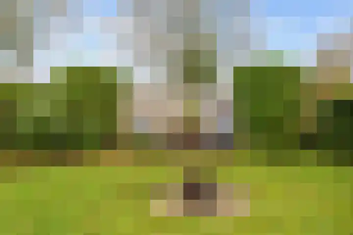 Boltweg 23 Ten Boer thumbnail 60