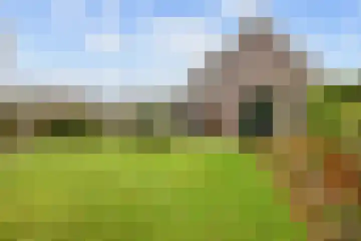 Boltweg 23 Ten Boer thumbnail 61