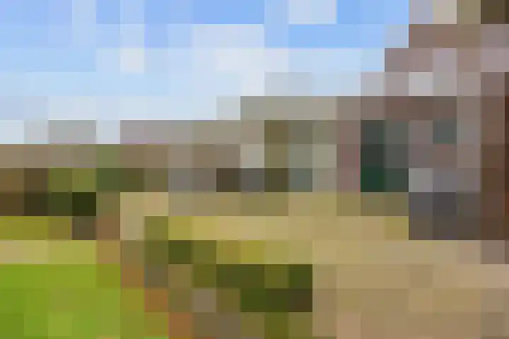 Boltweg 23 Ten Boer thumbnail 62