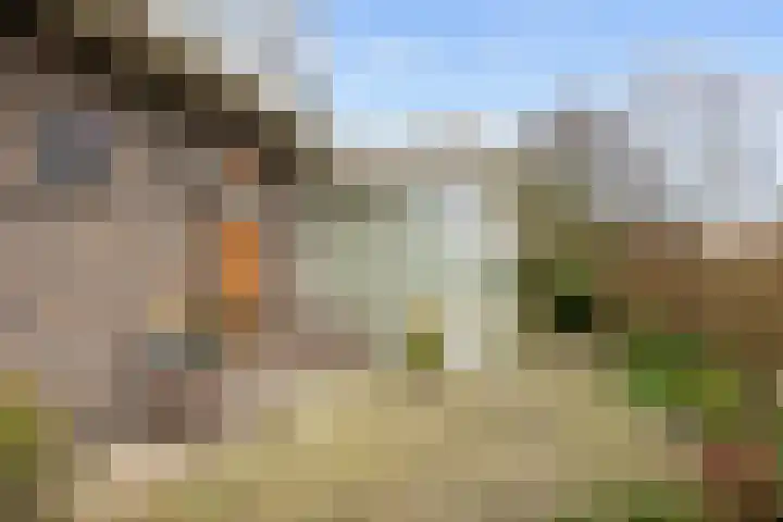Boltweg 23 Ten Boer thumbnail 8
