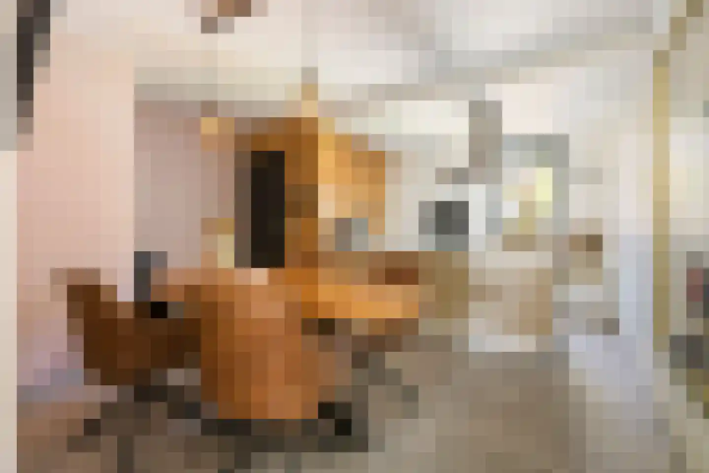 Boltweg 6 a Ten Boer thumbnail 10