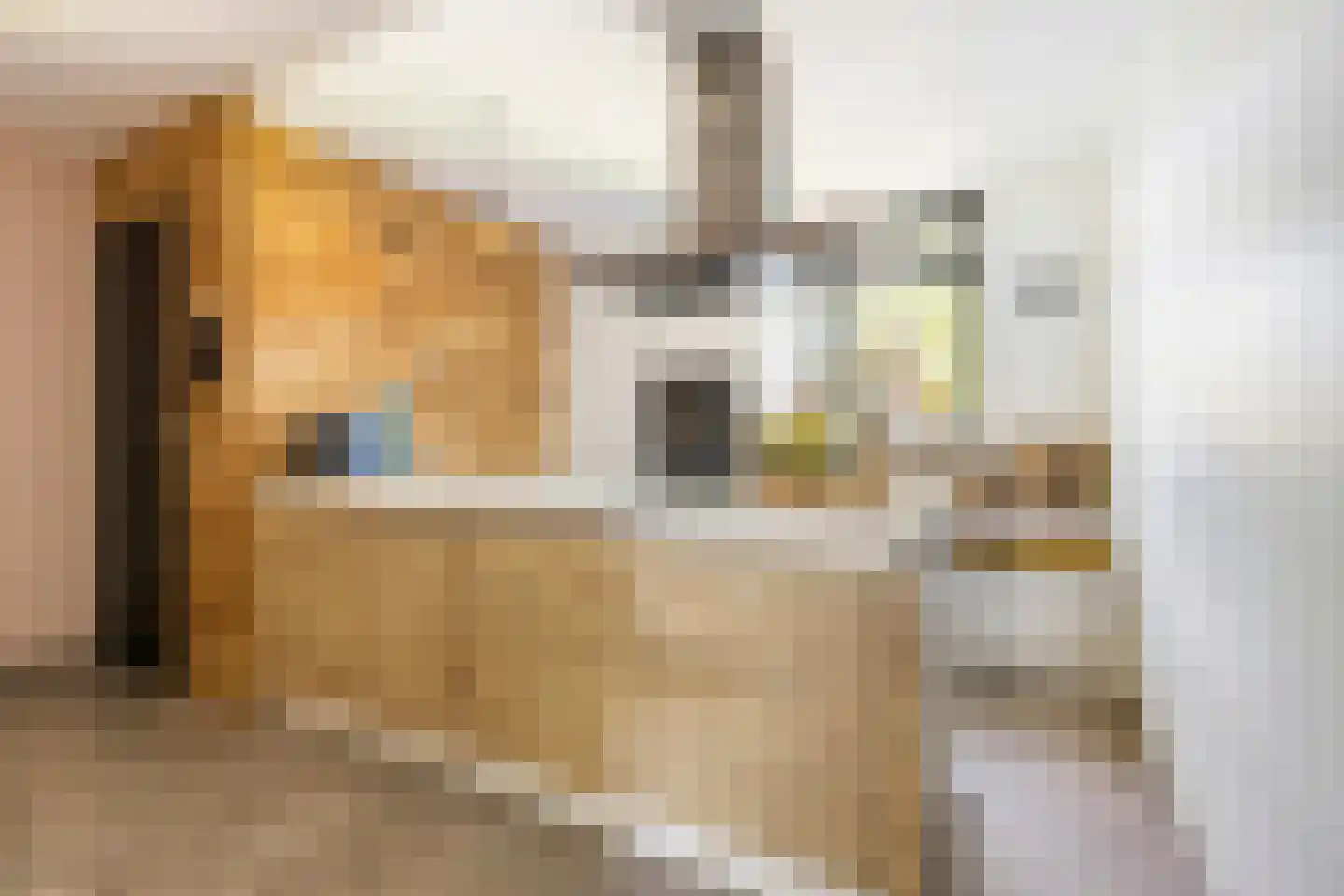 Boltweg 6 a Ten Boer thumbnail 12