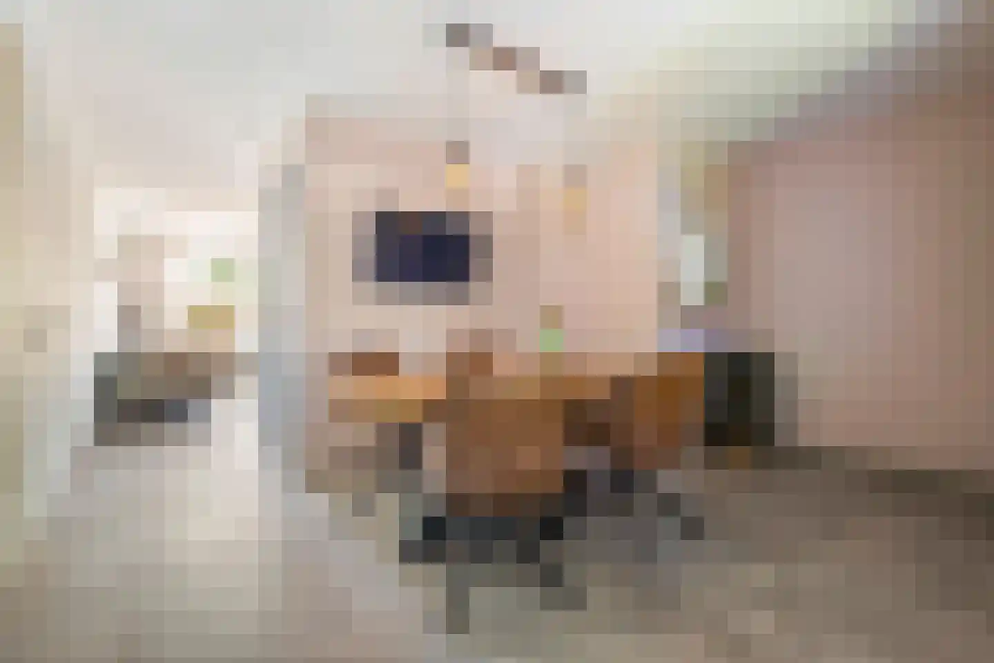 Boltweg 6 a Ten Boer thumbnail 16