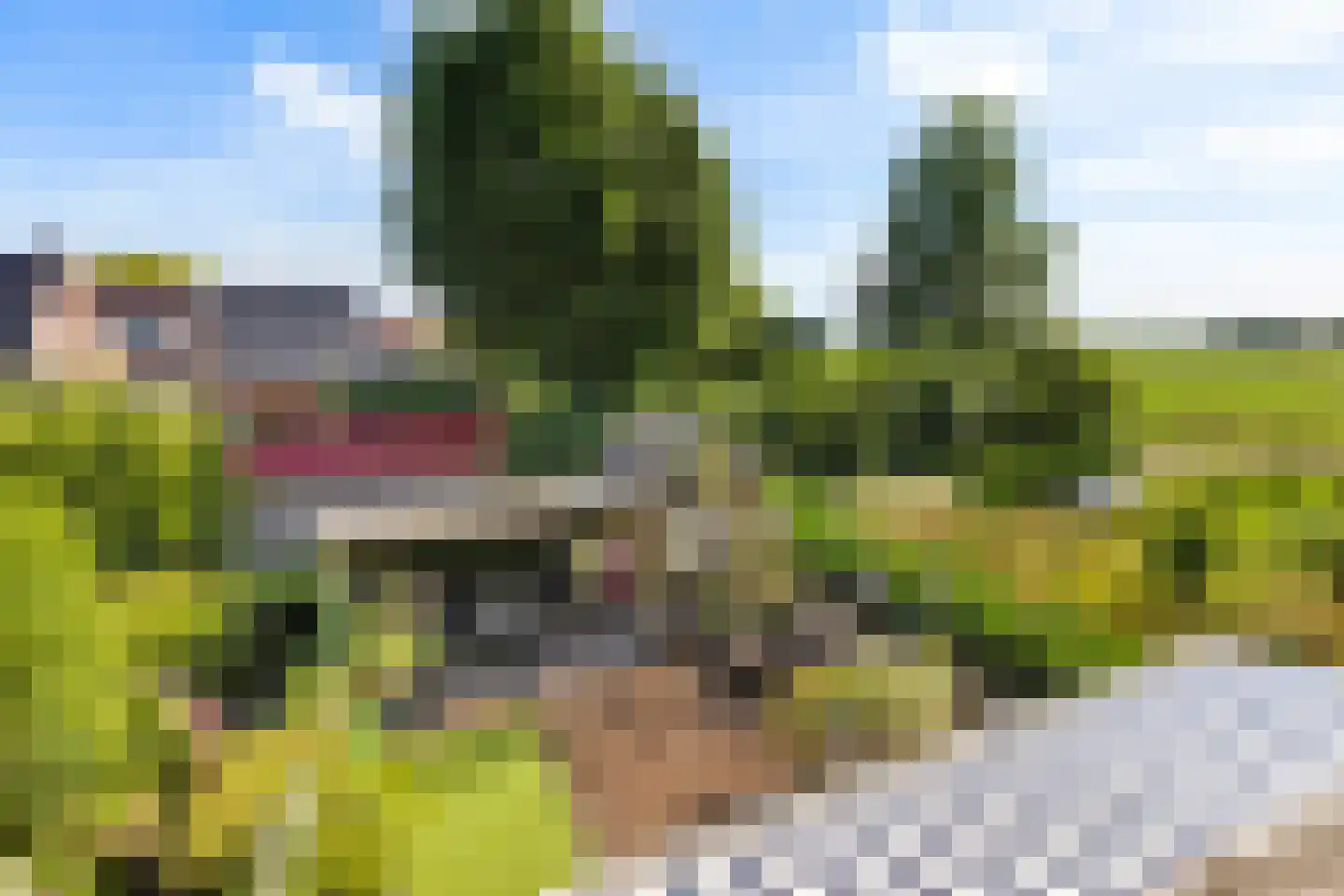 Boltweg 6 a Ten Boer thumbnail 38