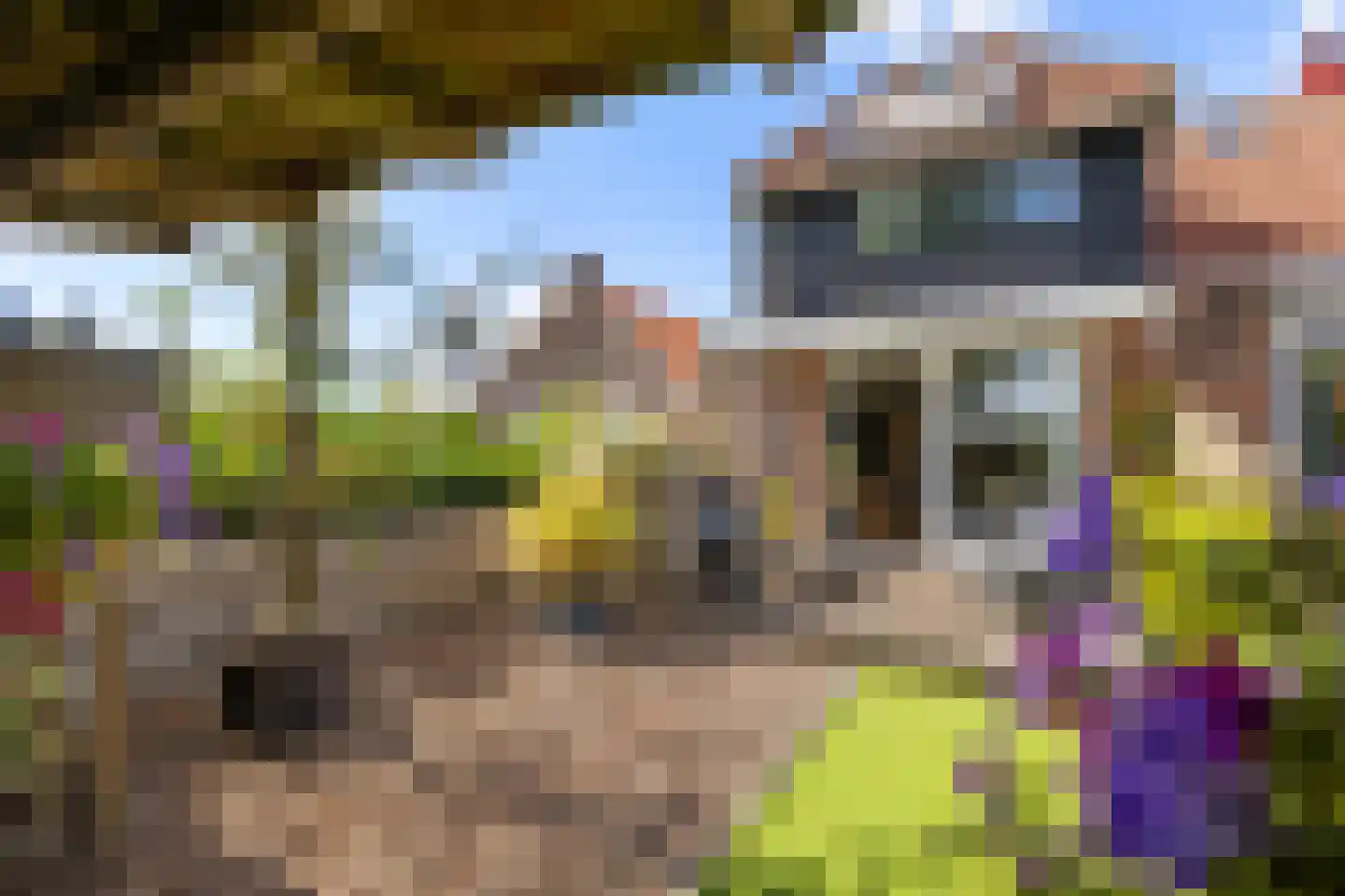 Boltweg 6 a Ten Boer thumbnail 4