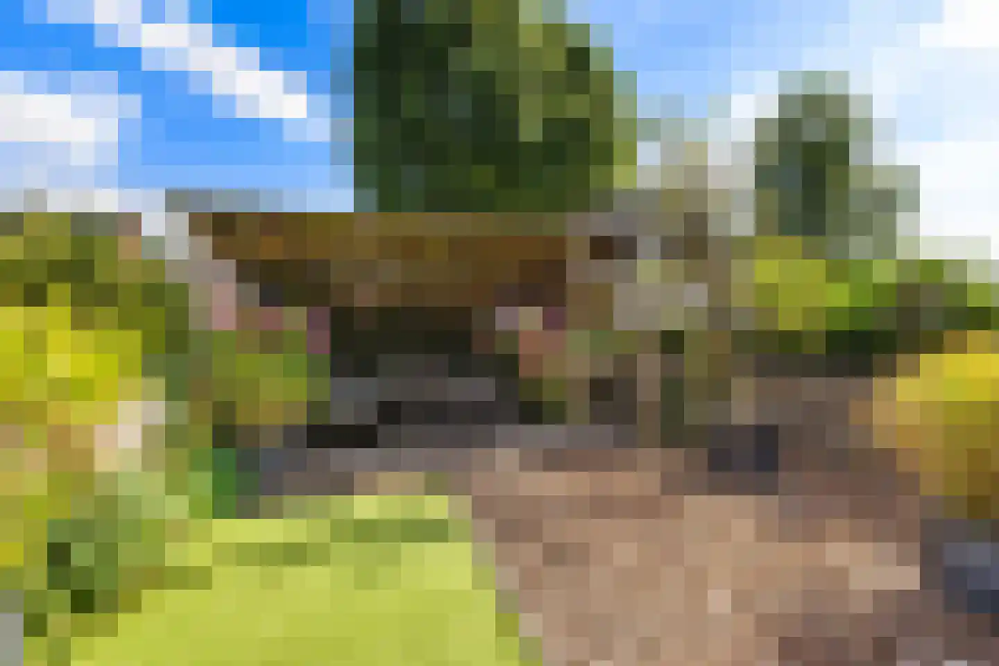 Boltweg 6 a Ten Boer thumbnail 40