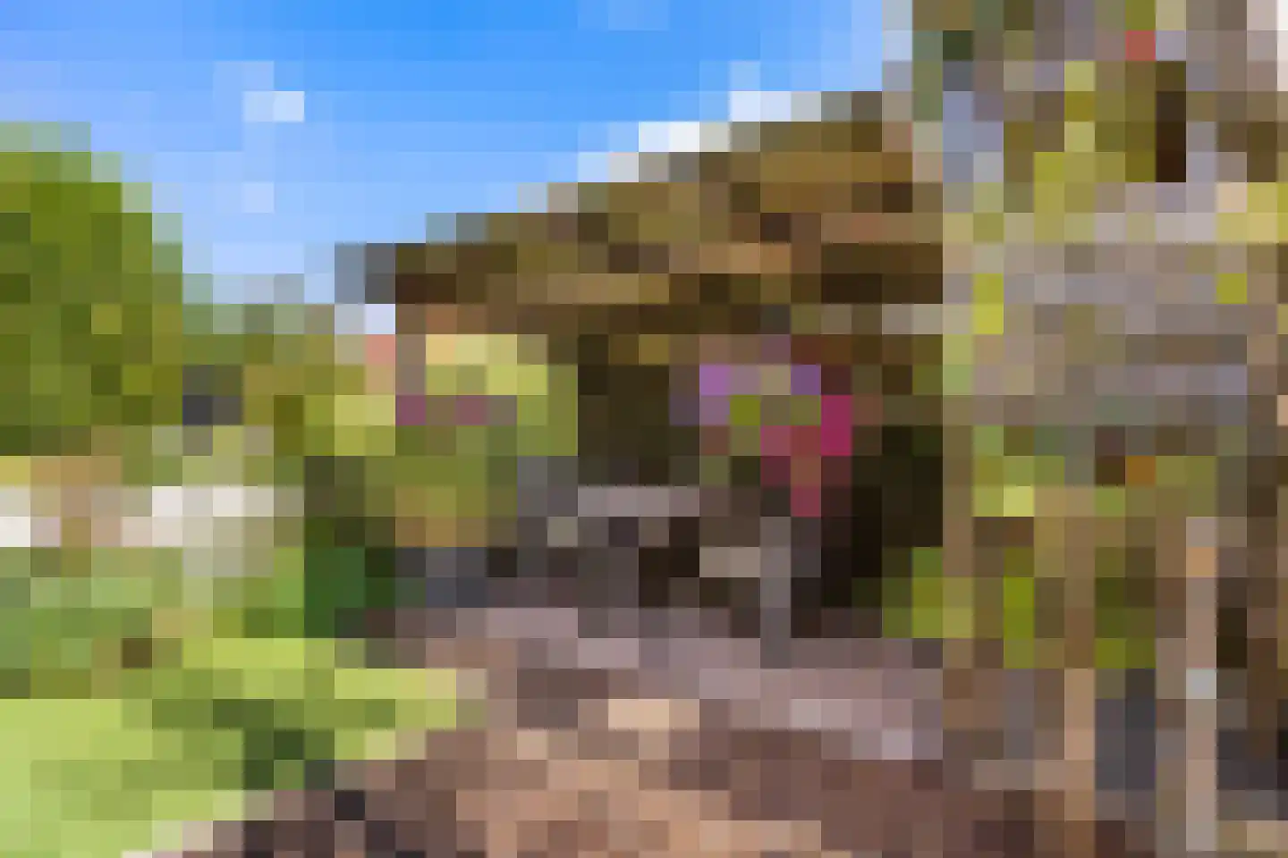 Boltweg 6 a Ten Boer thumbnail 42