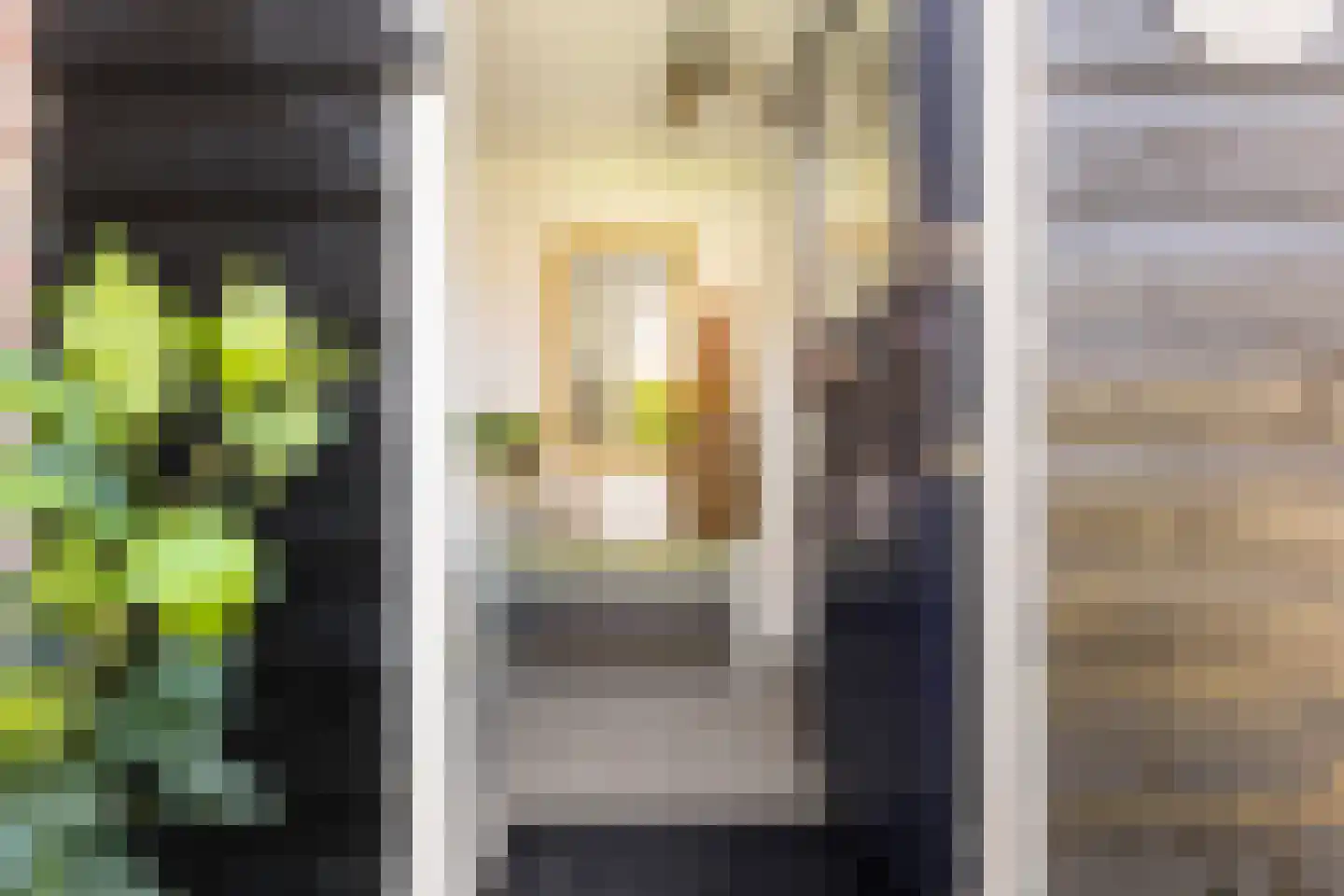 Boltweg 6 a Ten Boer thumbnail 8