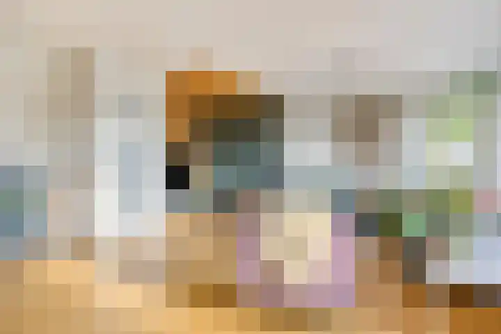 Bolwerk 10 Amersfoort thumbnail 13