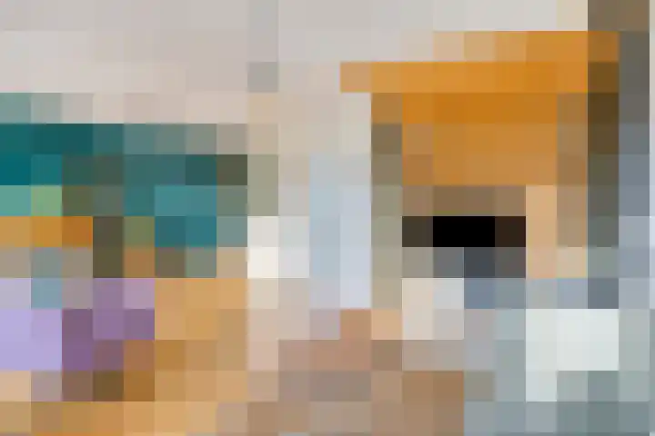 Bolwerk 10 Amersfoort thumbnail 15