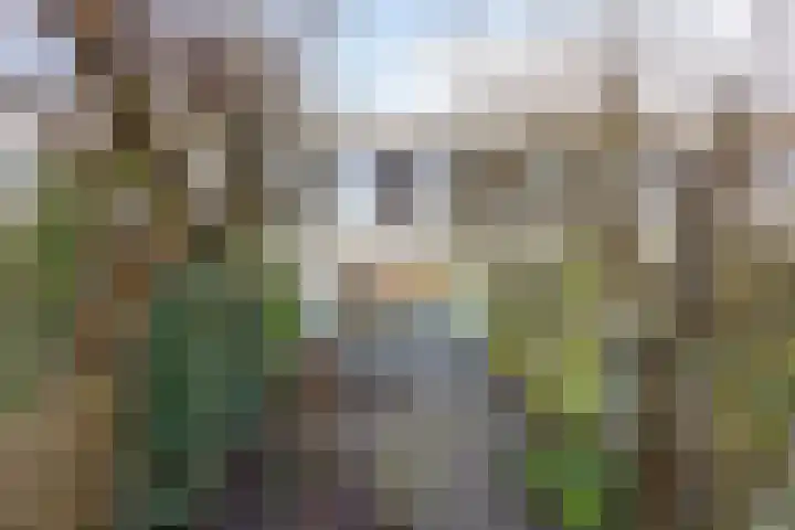 Bolwerk 10 Amersfoort thumbnail 32