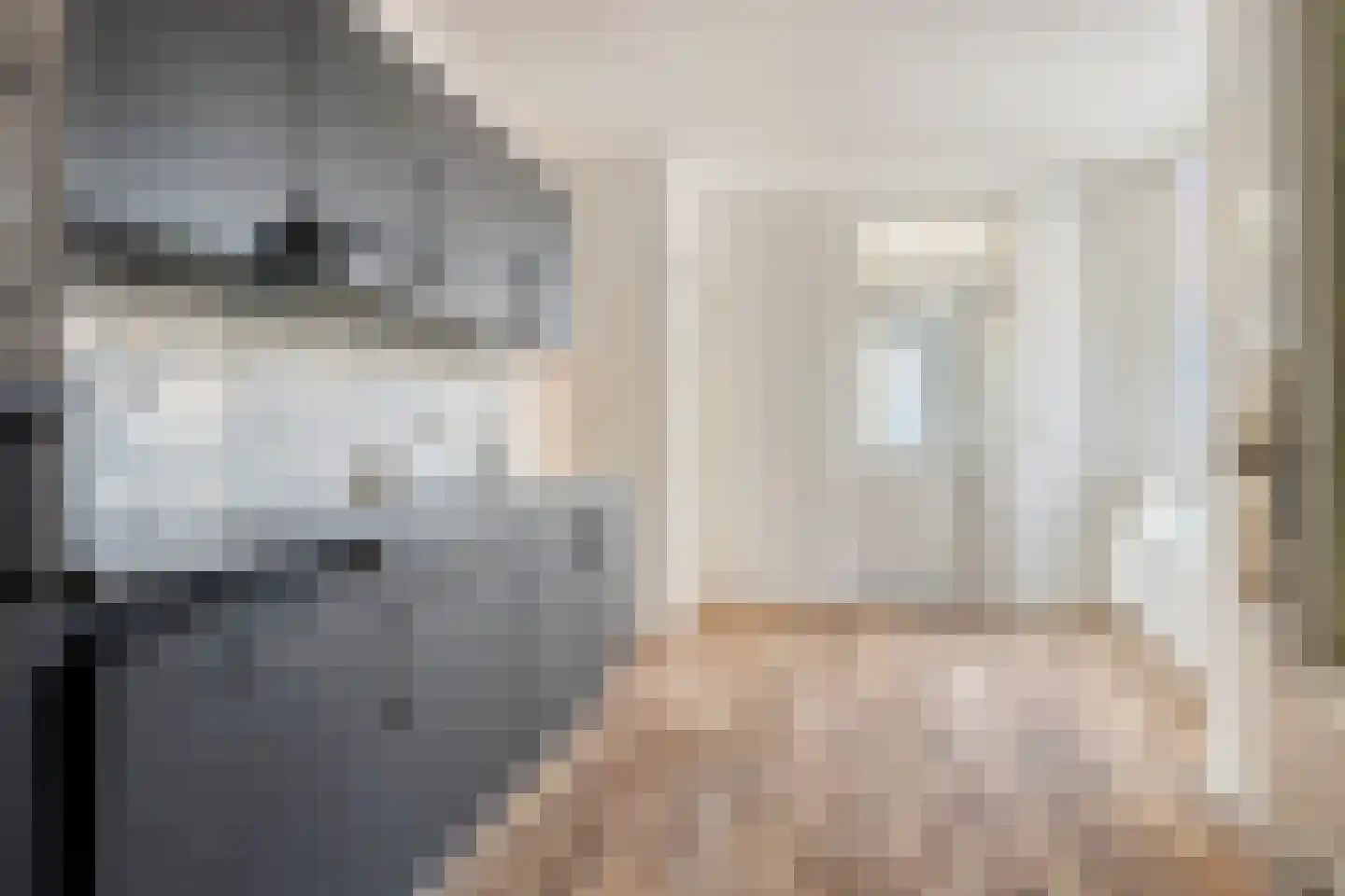 Bolwerk 11 Sas van Gent thumbnail 7