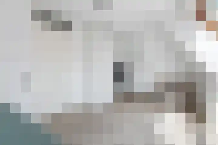 Bolwerk 14 Vijfhuizen thumbnail 39