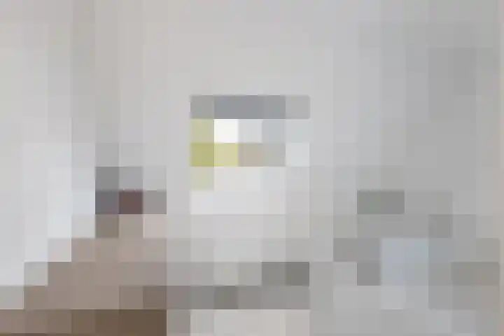Bolwerk 14 Vijfhuizen thumbnail 47
