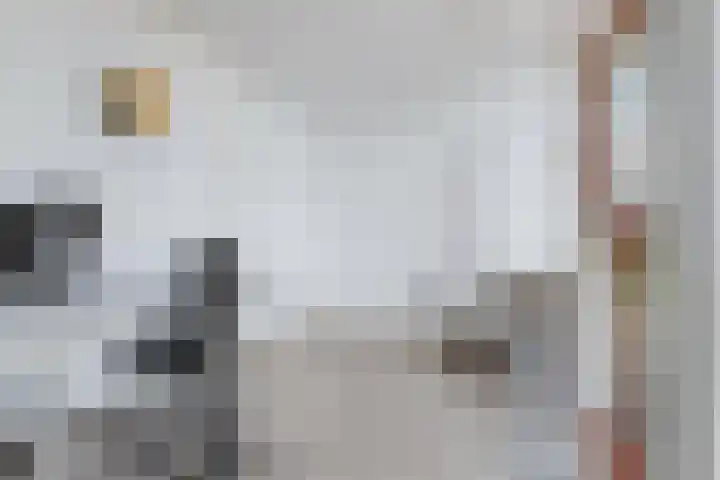 Bolwerk 14 Vijfhuizen thumbnail 54
