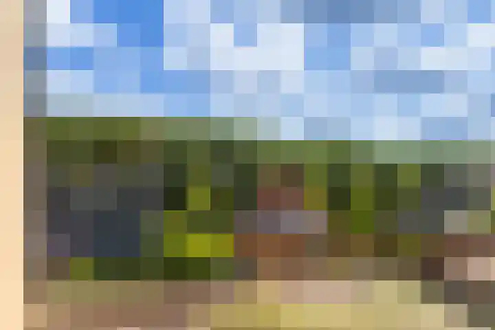 Bolwerk 14 Vijfhuizen thumbnail 57