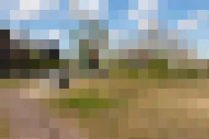 Bolwerk 14 Vijfhuizen thumbnail 65