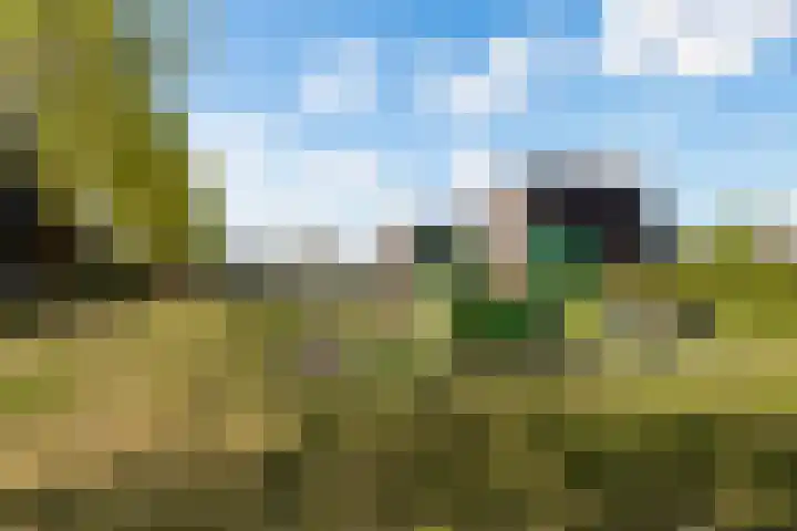 Bolwerk 14 Vijfhuizen thumbnail 66