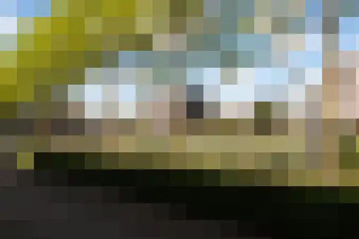 Bolwerk 14 Vijfhuizen thumbnail 67
