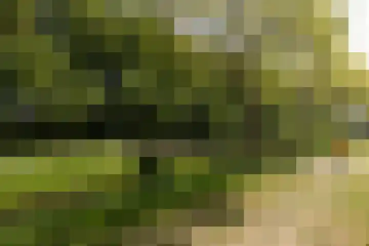 Bolwerk 14 Vijfhuizen thumbnail 68
