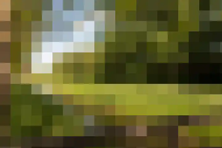 Bolwerk 14 Vijfhuizen thumbnail 69