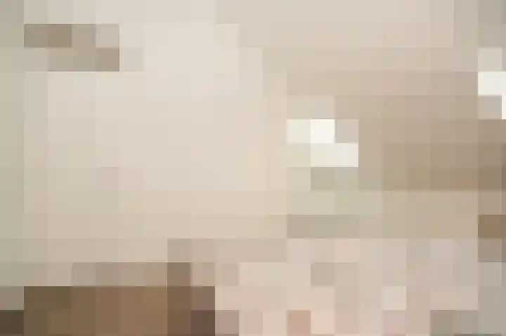 Bolwerk 15 Meteren thumbnail 24