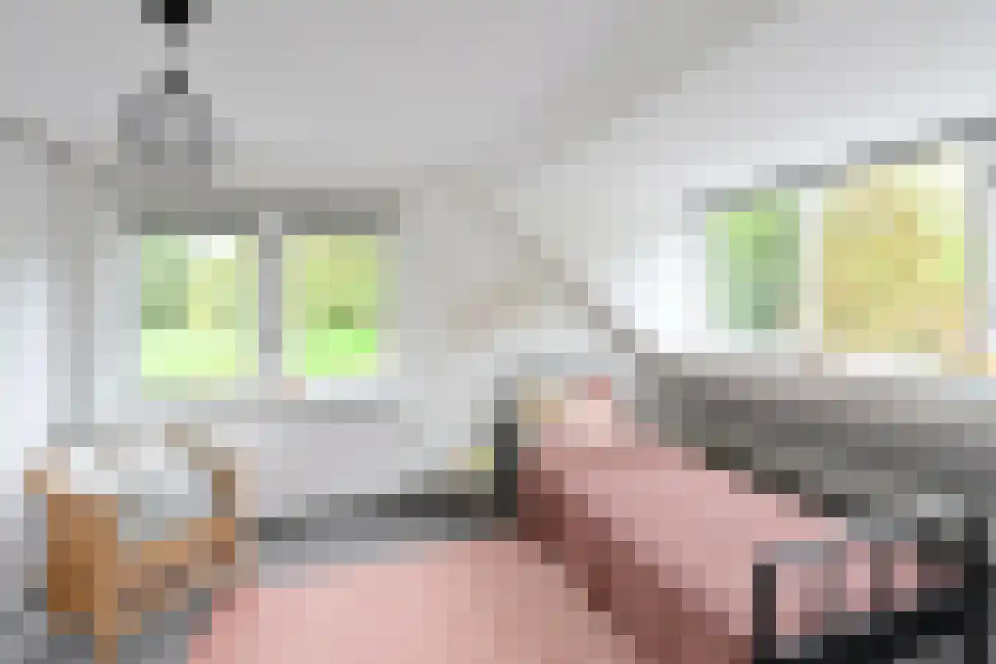 Bolwerk 15 Naarden thumbnail 18