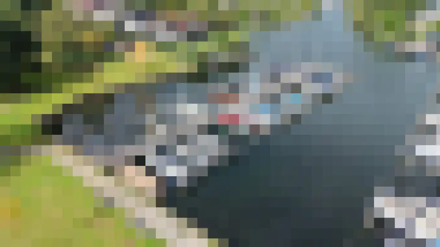 Bolwerk 15 Naarden thumbnail 25