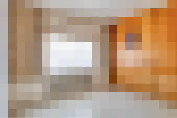 Bolwerk 15 Sas van Gent thumbnail 12