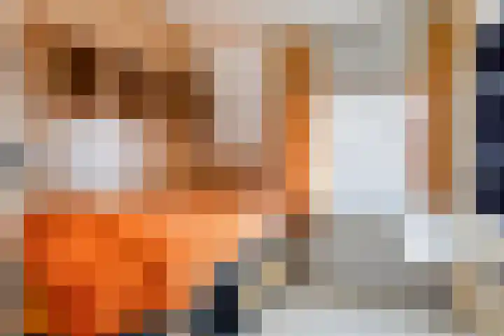 Bolwerk 15 Sas van Gent thumbnail 14