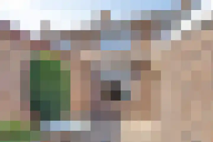 Bolwerk 15 Sas van Gent thumbnail 16
