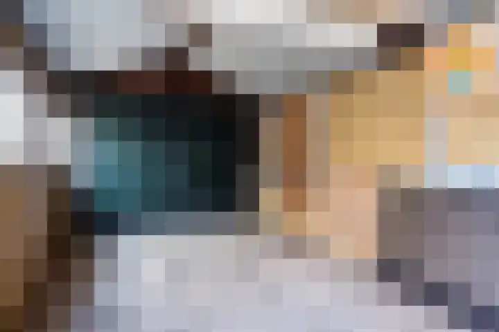 Bolwerk 15 Sas van Gent thumbnail 17