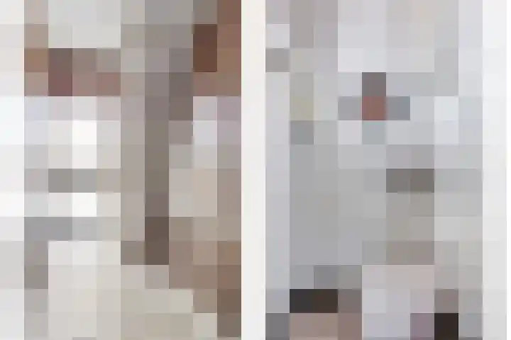 Bolwerk 15 Sas van Gent thumbnail 4