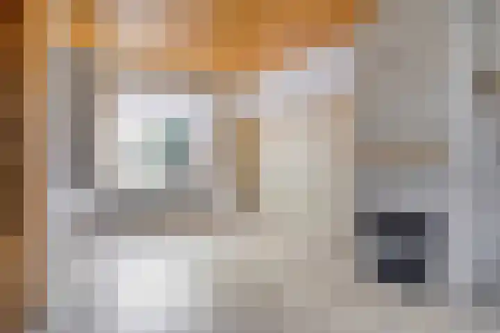 Bolwerk 15 Sas van Gent thumbnail 6