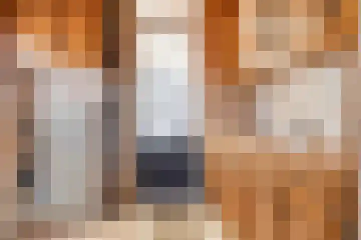 Bolwerk 15 Sas van Gent thumbnail 7