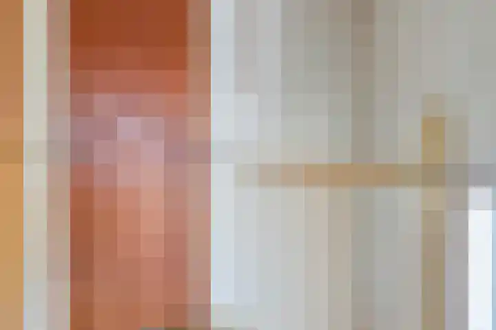 Bolwerk 15 Sas van Gent thumbnail 9